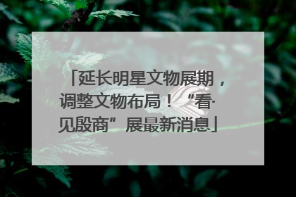 延长明星文物展期，调整文物布局！“看·见殷商”展最新消息