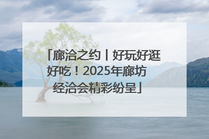 廊洽之约丨好玩好逛好吃！2025年廊坊经洽会精彩纷呈
