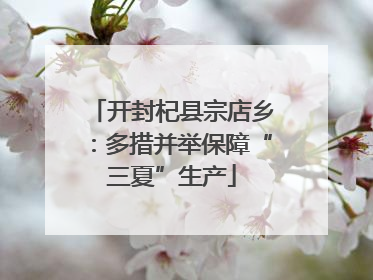 开封杞县宗店乡：多措并举保障“三夏”生产