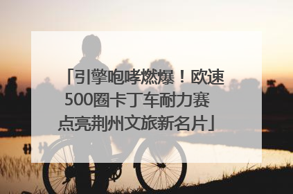 引擎咆哮燃爆！欧速500圈卡丁车耐力赛点亮荆州文旅新名片