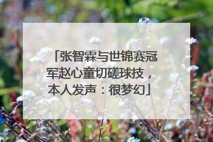 张智霖与世锦赛冠军赵心童切磋球技，本人发声：很梦幻