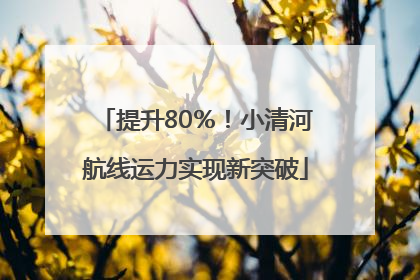 提升80％！小清河航线运力实现新突破