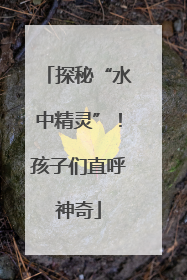 探秘“水中精灵”！孩子们直呼神奇