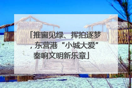推窗见绿、挥拍逐梦，东营港“小城大爱”奏响文明新乐章