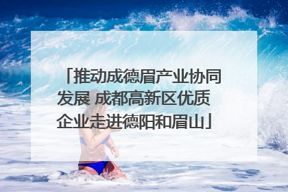 推动成德眉产业协同发展 成都高新区优质企业走进德阳和眉山