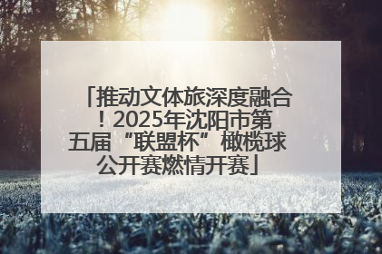 推动文体旅深度融合！2025年沈阳市第五届“联盟杯”橄榄球公开赛燃情开赛