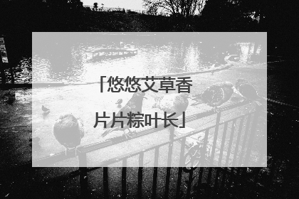 悠悠艾草香 片片粽叶长