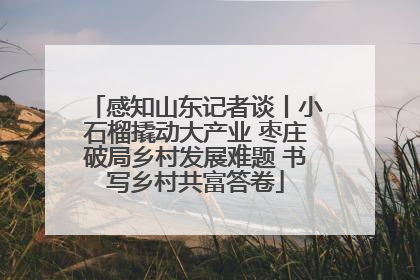 感知山东记者谈丨小石榴撬动大产业 枣庄破局乡村发展难题 书写乡村共富答卷