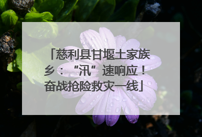 慈利县甘堰土家族乡：“汛”速响应！奋战抢险救灾一线