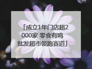 成立1年门店超2000家 零食有鸣批发超市领跑赛道