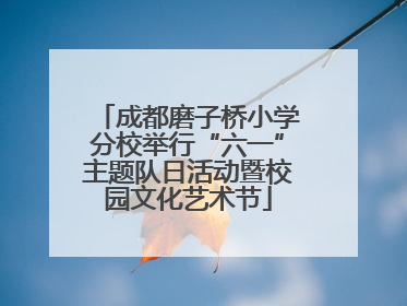 成都磨子桥小学分校举行“六一”主题队日活动暨校园文化艺术节