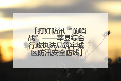 打好防汛“前哨战”——莘县综合行政执法局筑牢城区防汛安全防线