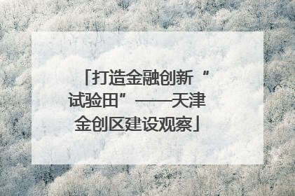 打造金融创新“试验田”——天津金创区建设观察