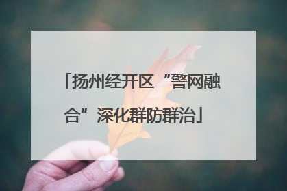 扬州经开区“警网融合”深化群防群治
