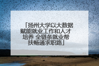 扬州大学以大数据赋能就业工作和人才培养 全链条就业帮扶畅通求职路