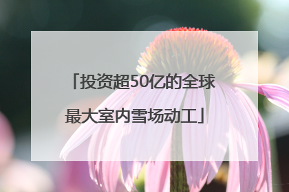 投资超50亿的全球最大室内雪场动工