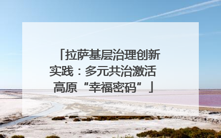 拉萨基层治理创新实践：多元共治激活高原“幸福密码”