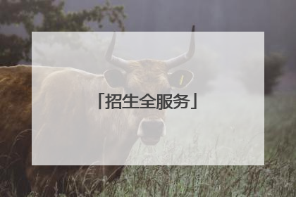 招生全服务