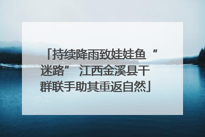 持续降雨致娃娃鱼“迷路” 江西金溪县干群联手助其重返自然
