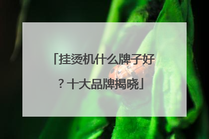 挂烫机什么牌子好？十大品牌揭晓