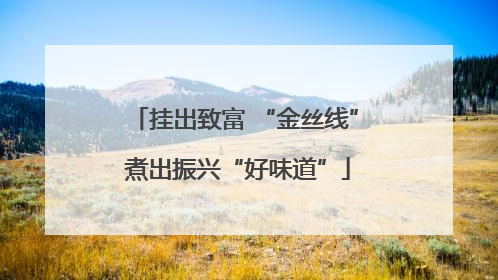 挂出致富 “金丝线” 煮出振兴“好味道”
