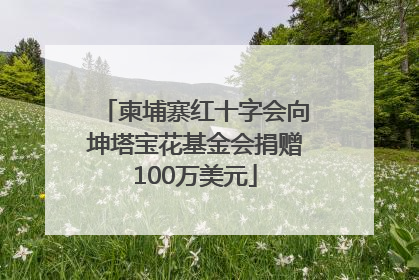 柬埔寨红十字会向坤塔宝花基金会捐赠100万美元