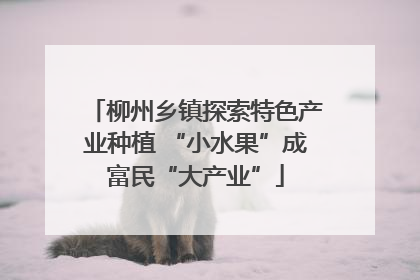 柳州乡镇探索特色产业种植 “小水果”成富民“大产业”