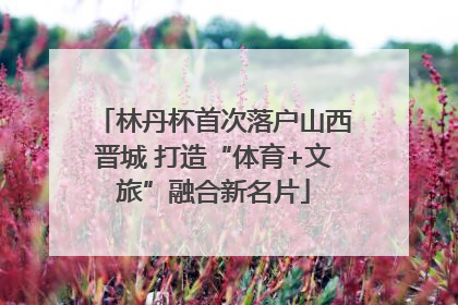 林丹杯首次落户山西晋城 打造“体育+文旅”融合新名片