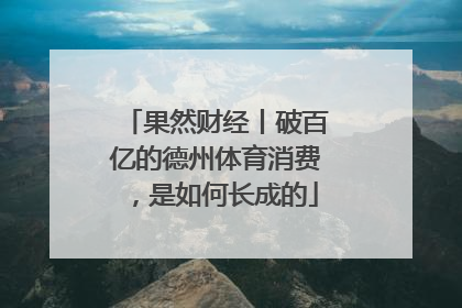 果然财经丨破百亿的德州体育消费，是如何长成的
