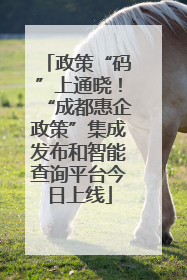 政策“码”上通晓！“成都惠企政策”集成发布和智能查询平台今日上线