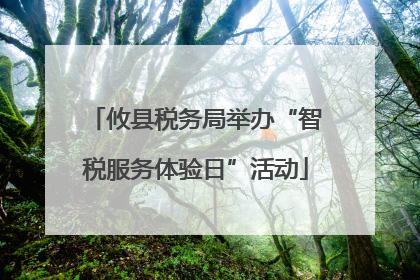 攸县税务局举办“智税服务体验日”活动