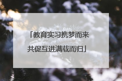 教育实习携梦而来 共促互进满载而归