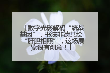 数字光影解码“统战基因”，书法非遗共绘“肝胆相照”，这场展览很有创意！