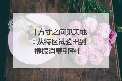 方寸之间见天地：从特区试验田到提振消费引擎