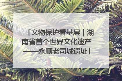 文物保护看基层｜湖南省首个世界文化遗产——永顺老司城遗址
