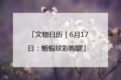 文物日历｜6月17日：蜥蜴纹彩陶罐