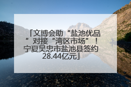 文博会助“盐池优品”对接“湾区市场”！宁夏吴忠市盐池县签约28.44亿元