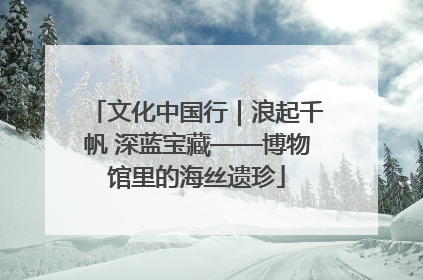 文化中国行｜浪起千帆 深蓝宝藏——博物馆里的海丝遗珍