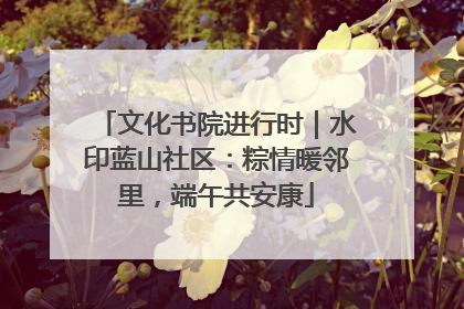 文化书院进行时｜水印蓝山社区：粽情暖邻里，端午共安康