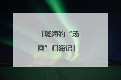 斑海豹“汤圆”归海记
