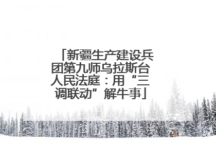 新疆生产建设兵团第九师乌拉斯台人民法庭：用“三调联动”解牛事