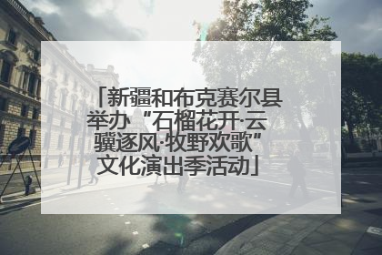 新疆和布克赛尔县举办“石榴花开·云骥逐风·牧野欢歌”文化演出季活动