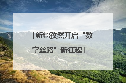 新疆孜然开启“数字丝路”新征程