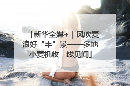 新华全媒+｜风吹麦浪好“丰”景——多地小麦机收一线见闻