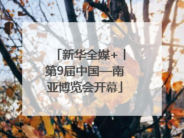 新华全媒+丨第9届中国—南亚博览会开幕