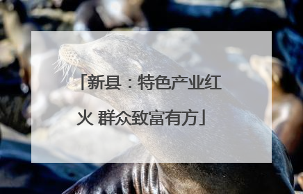 新县：特色产业红火 群众致富有方