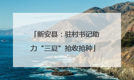 新安县：驻村书记助力“三夏”抢收抢种