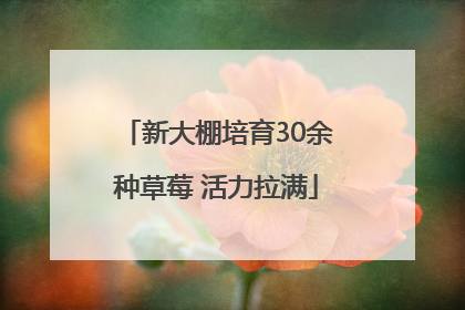 新大棚培育30余种草莓 活力拉满