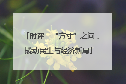 时评：“方寸”之间，撬动民生与经济新局