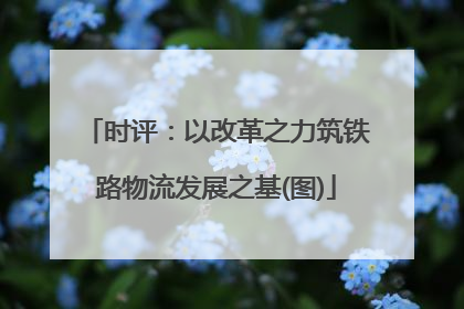 时评：以改革之力筑铁路物流发展之基(图)